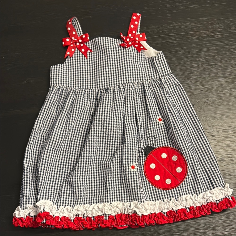 Gingham Ladybug Dress with Red Accents